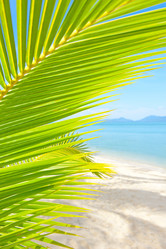 Similar image 921101