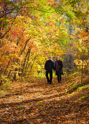 Similar image 921103