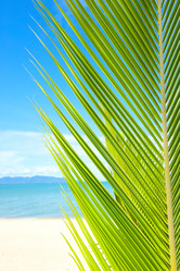 Similar image 921112