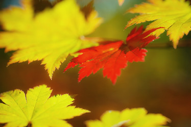 Similar image 921132