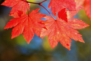 Similar image 921133