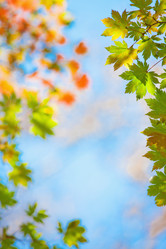 Similar image 921136