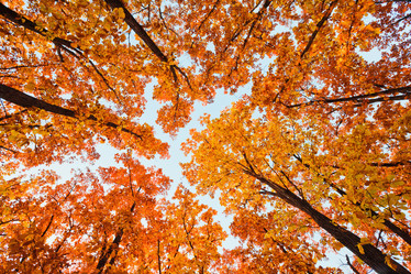 Similar image 921137