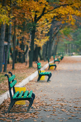 Similar image 921161