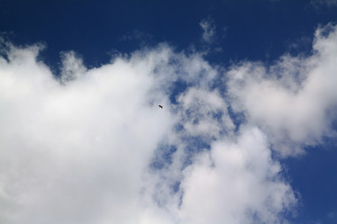 Similar image 921168