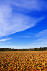 Similar image 921182