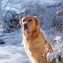 Similar image 921218