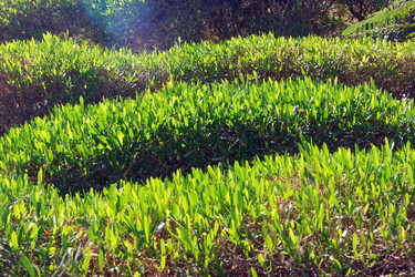 Similar image 921239