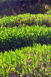 Similar image 921240