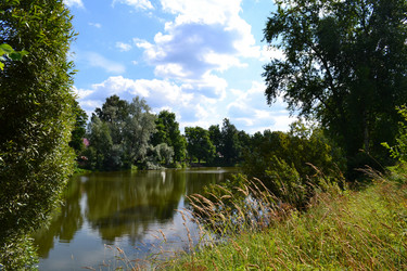 Similar image 921305