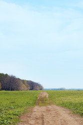 Similar image 921311