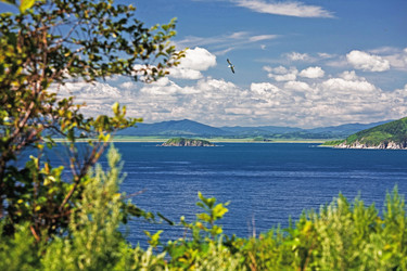 Similar image 921316