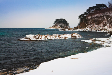 Similar image 921319