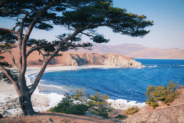 Similar image 921325