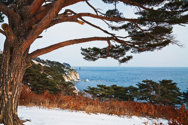 Similar image 921326