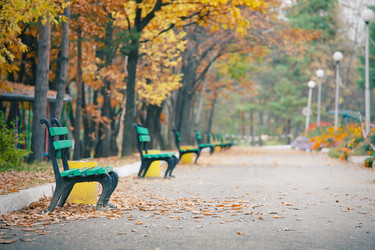 Similar image 921341