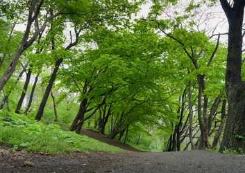 Similar image 921345