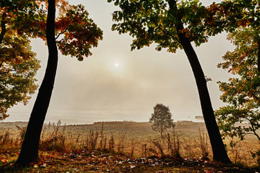 Similar image 921351