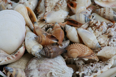 Similar image 921355