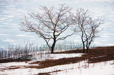 Similar image 921359