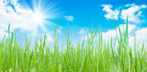 Similar image 921365