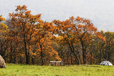 Similar image 921369