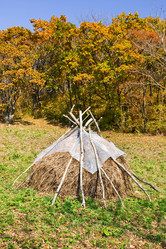 Similar image 921384