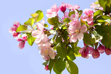 Similar image 921454