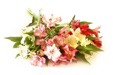 Similar image 921456