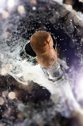 Similar image 921492