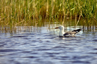 Similar image 921493