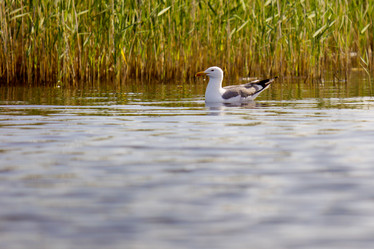 Similar image 921494