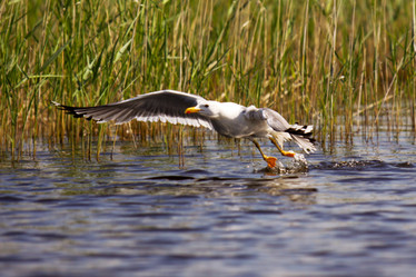 Similar image 921498