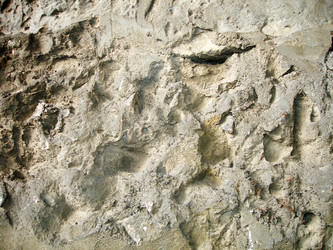 Similar image 921578