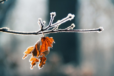 Similar image 921648