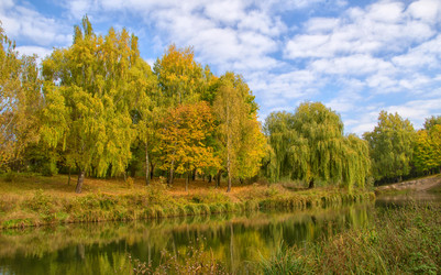 Similar image 922039