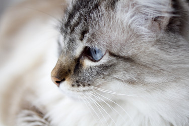 Similar image 922048