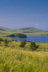 Similar image 922272