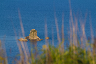 Similar image 922273