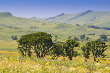 Similar image 922279