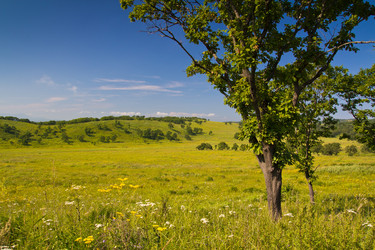 Similar image 922288