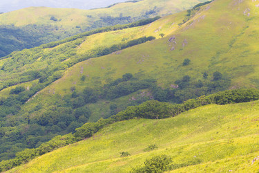 Similar image 922293