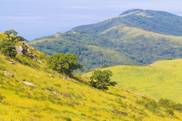 Similar image 922294