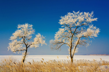 Similar image 922450