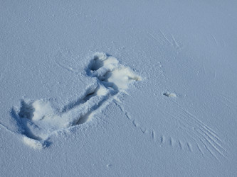 Similar image 922523