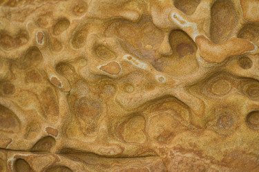 Similar image 922579