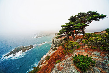 Similar image 922596