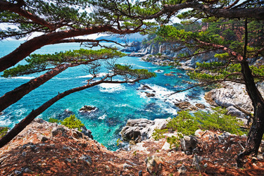 Similar image 922600