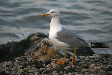 Similar image 922688