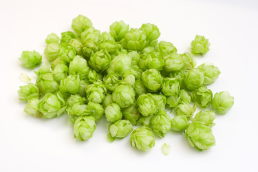 Similar image 923008